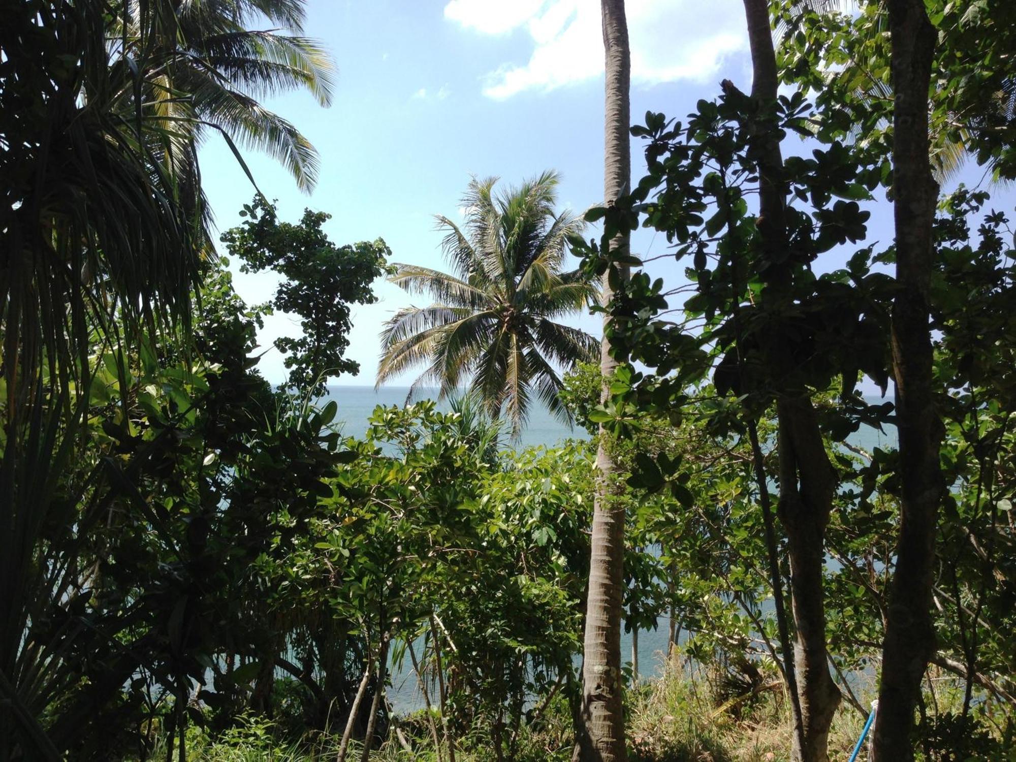 The Narima - Sha Plus Ko Lanta Esterno foto