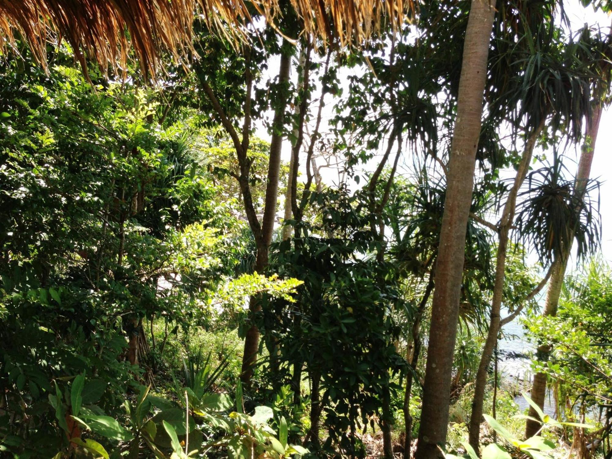 The Narima - Sha Plus Ko Lanta Esterno foto