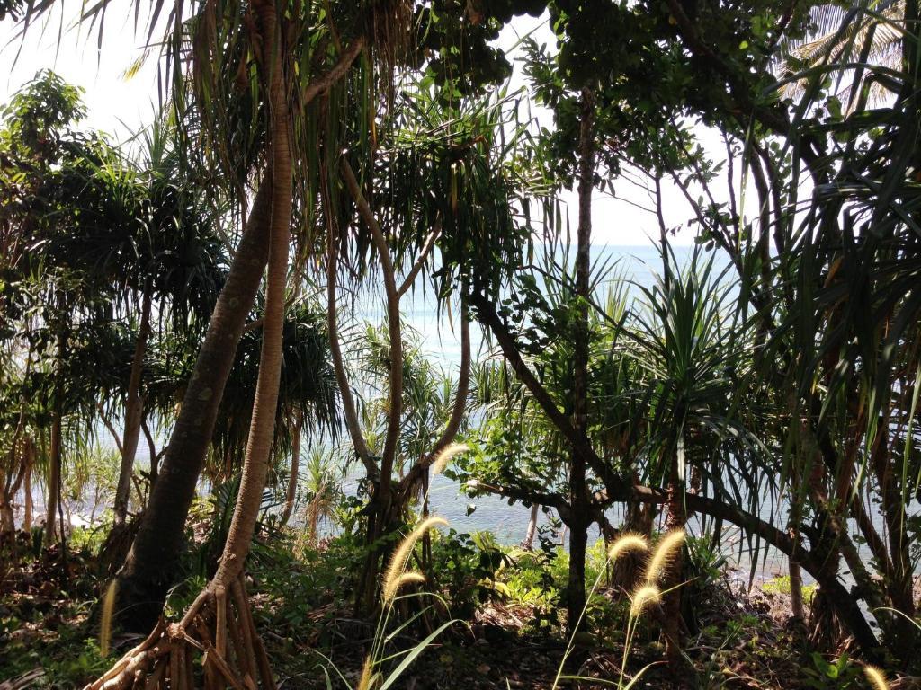 The Narima - Sha Plus Ko Lanta Esterno foto